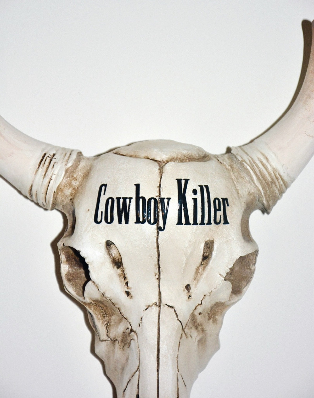 WESTERN AMERICANA SKULL