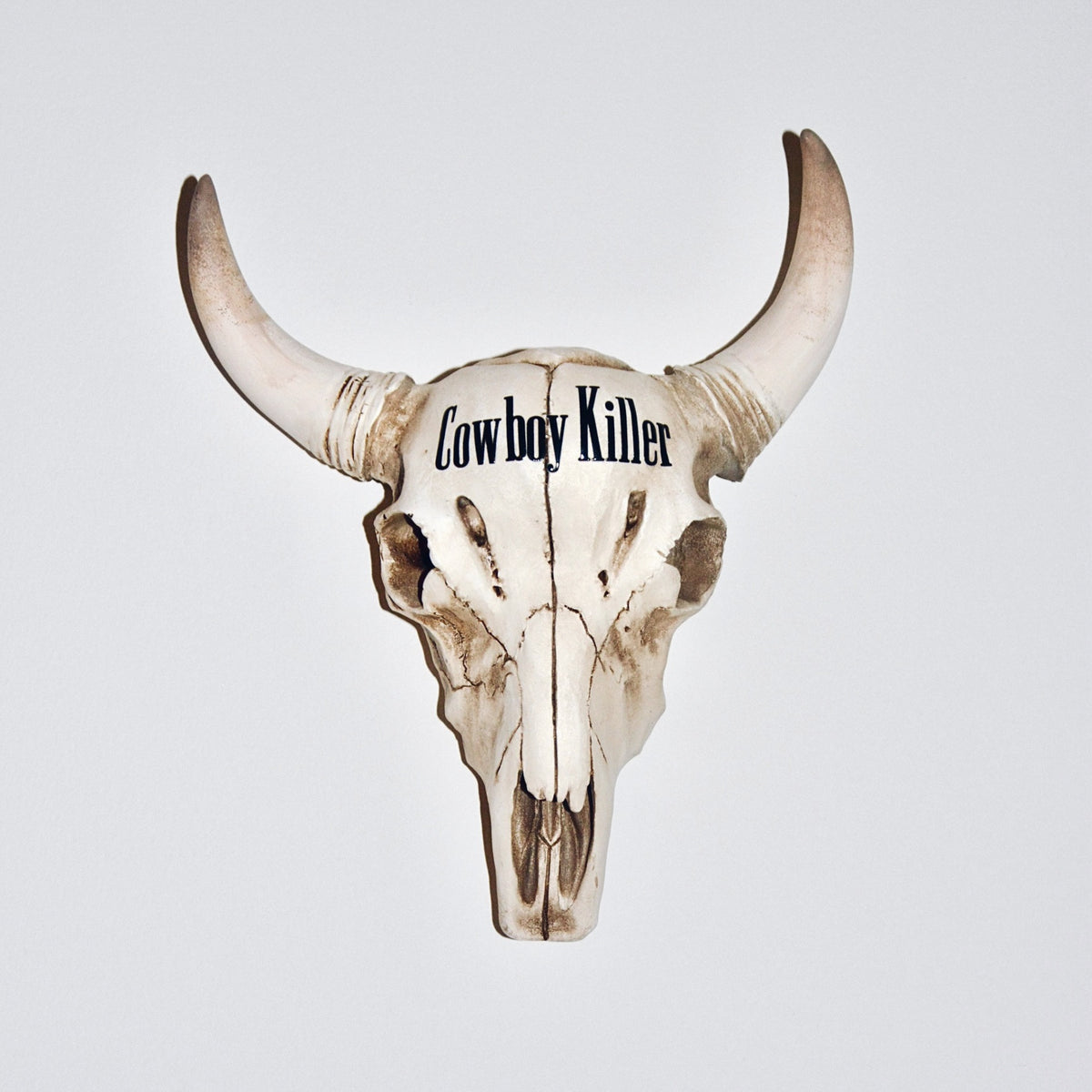 WESTERN AMERICANA SKULL