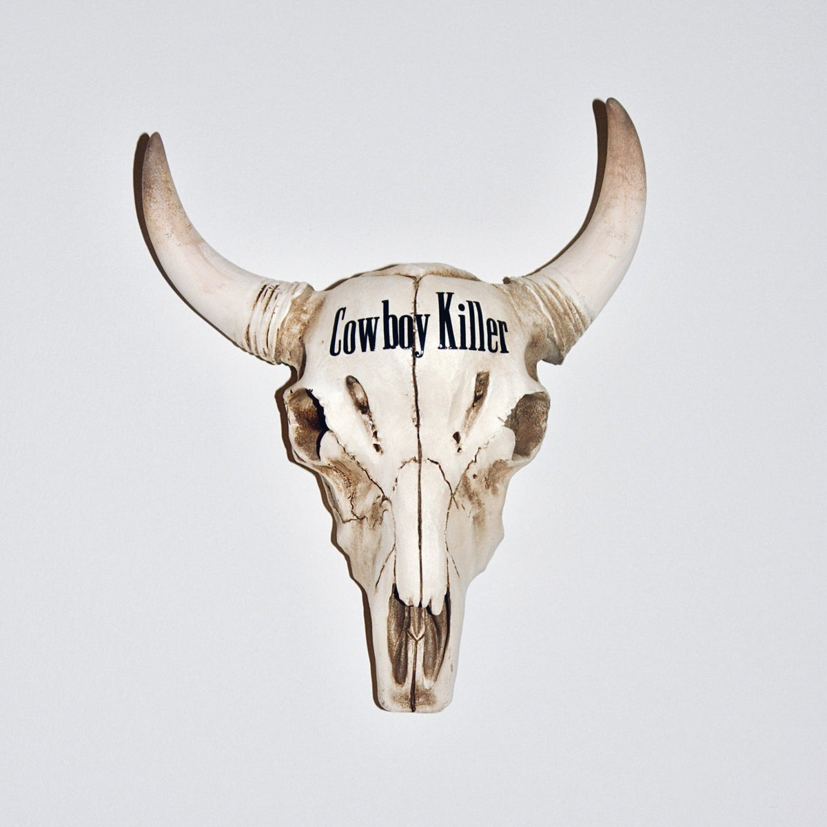 WESTERN AMERICANA SKULL - House of Savage