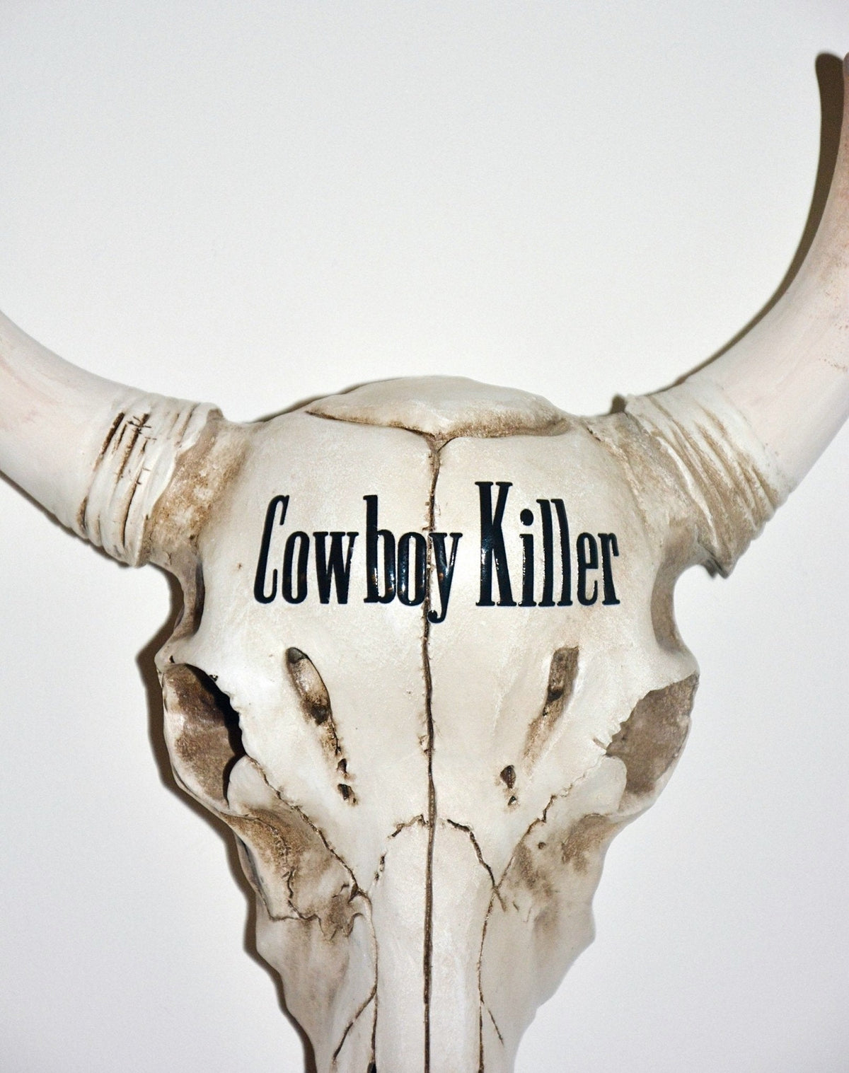 WESTERN AMERICANA SKULL - House of Savage
